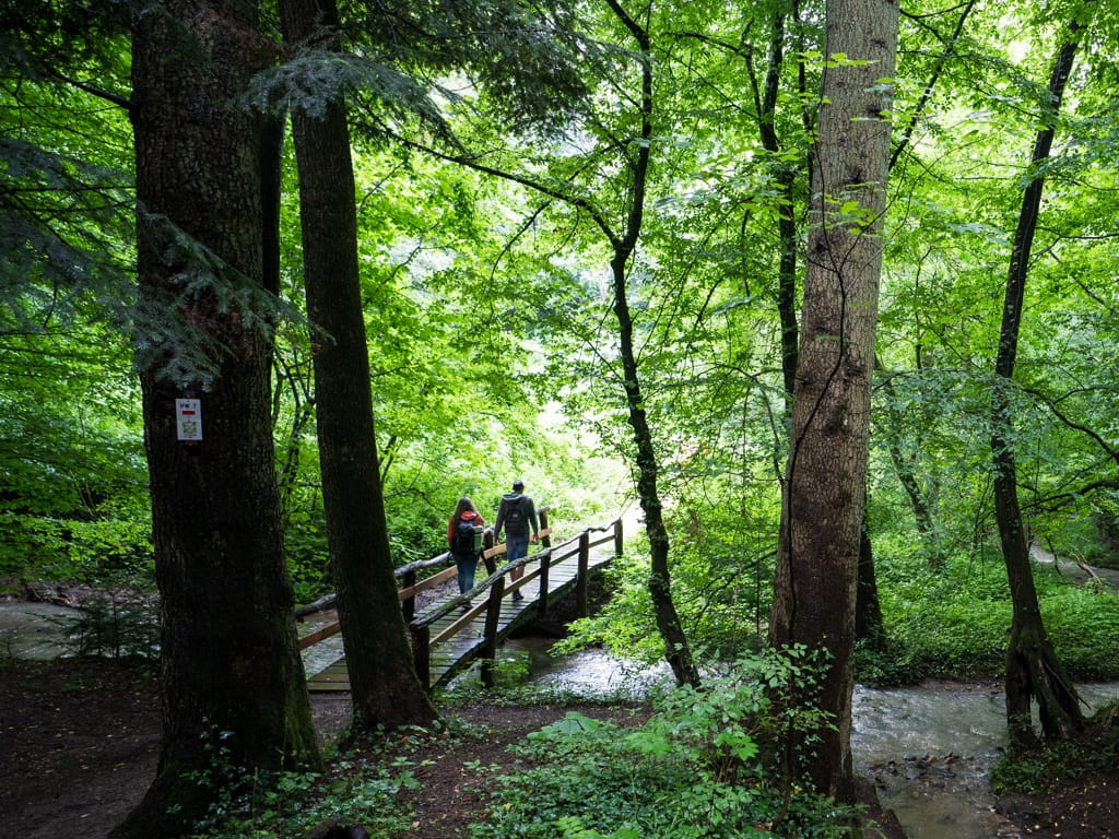Löwenpfade für heiße Tage: Wanderndes Paar auf einem Steg im schattigen Beutental