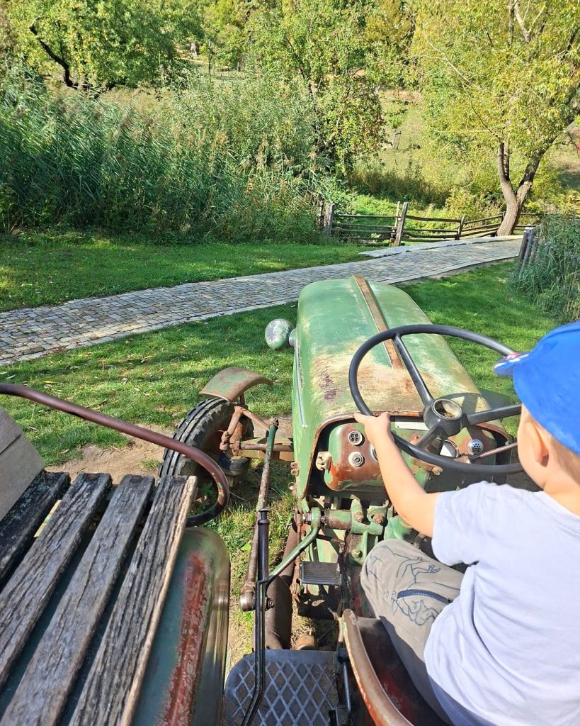 Kind sitzt am Steuer eines historischen Traktors im Freilichtmuseum Beuren
