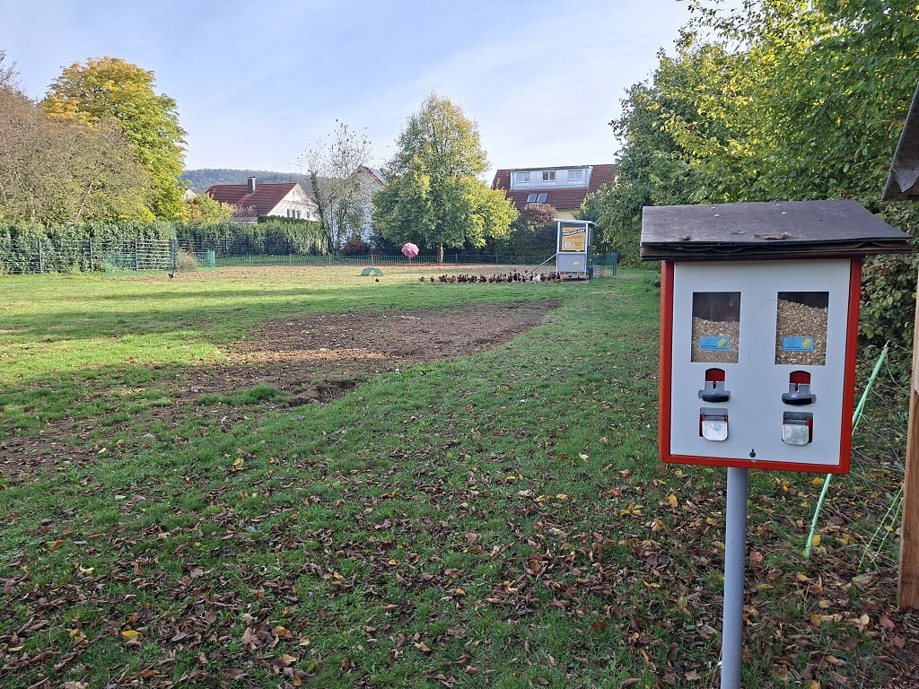 Futterautomat für Hühner. Im Hintergrund eine große Wiese mit freilaufenden Hühnern.